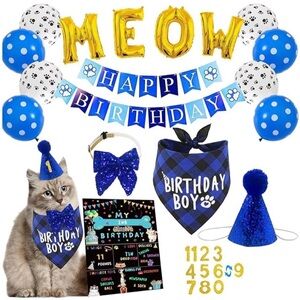 Brand New Kitty cat birthday party decorations